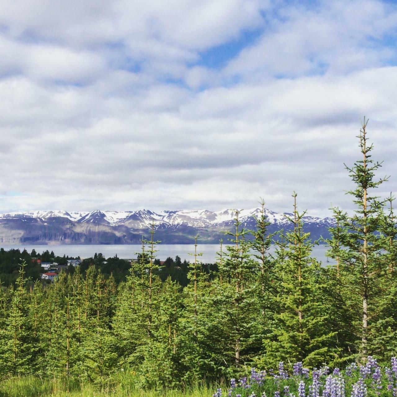 Spirit North Guesthouse Husavik Exterior photo